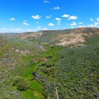 Browns Hill Pasture images 2