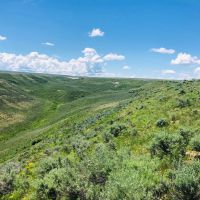Browns Hill Pasture images 3