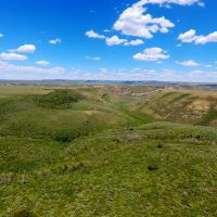 Browns Hill Pasture images 5