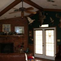 620 Acres in Neshoba County in Philadelphia  MS images 4