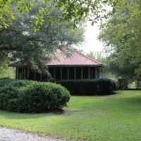 620 Acres in Neshoba County in Philadelphia  MS images 6