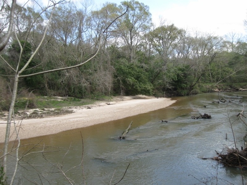 10 Acre Bogue Chitto River Tract featured image
