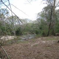 10 Acre Bogue Chitto River Tract images 4