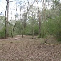 10 Acre Bogue Chitto River Tract images 5