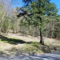 99 acres Timberland and Hunting Land in Hornby NY Mormon Hollow Road images 2