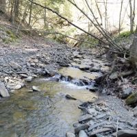 99 acres Timberland and Hunting Land in Hornby NY Mormon Hollow Road images 3