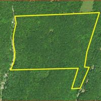 99 acres Timberland and Hunting Land in Hornby NY Mormon Hollow Road images 4