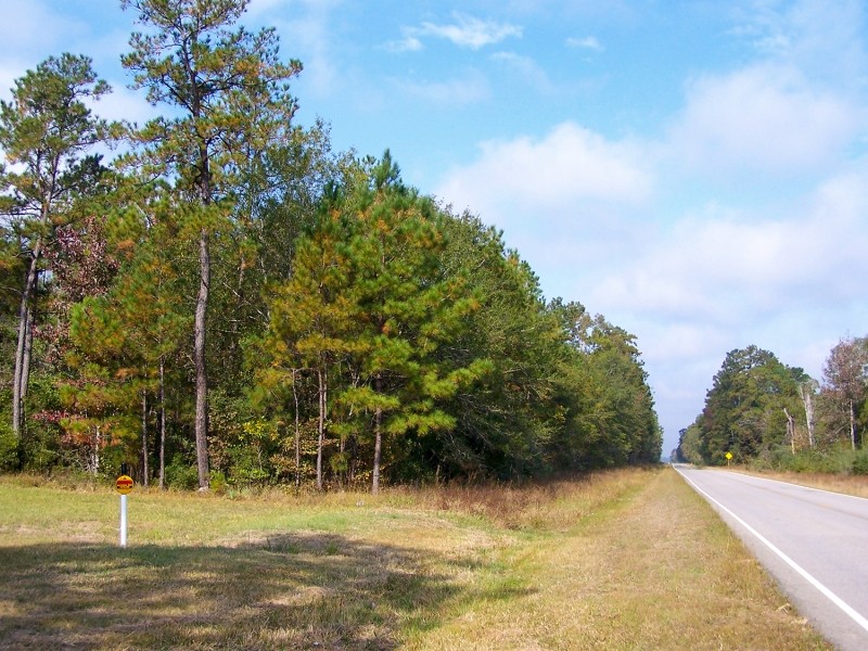 69 Acres &nbsp; Saratoga Timberland FM 787 featured image