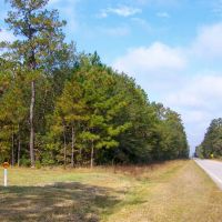 69 Acres &nbsp; Saratoga Timberland FM 787