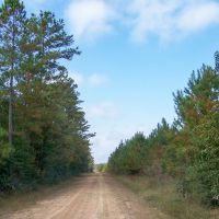 69 Acres &nbsp; Saratoga Timberland FM 787 images 4