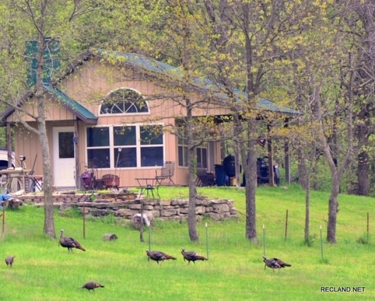 288 ac - Highly Managed Wildlife Farm &nbsp; Cabin featured image