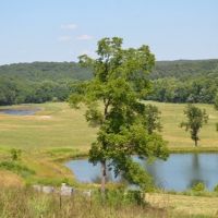 288 ac - Highly Managed Wildlife Farm &nbsp; Cabin images 3