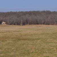 288 ac - Highly Managed Wildlife Farm &nbsp; Cabin images 5