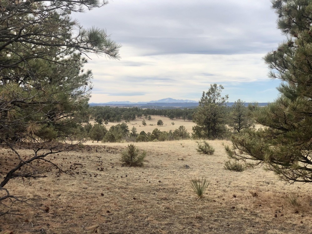 Wolf &nbsp; s Station Gulch Ranch featured image