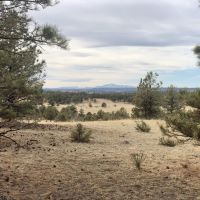 Wolf &nbsp; s Station Gulch Ranch