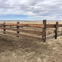 Wolf &nbsp; s Station Gulch Ranch images 3