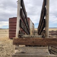Wolf &nbsp; s Station Gulch Ranch images 4