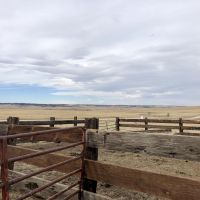 Wolf &nbsp; s Station Gulch Ranch images 6