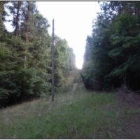 81.9 Acres  in Montgomery County in Kilmichael  MS