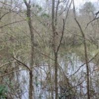 30 Acres with a Home in Jefferson Davis County at 470 Williamson Mill Road in Prentiss  MS images 3