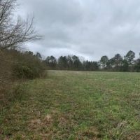 30 Acres with a Home in Jefferson Davis County at 470 Williamson Mill Road in Prentiss  MS images 6
