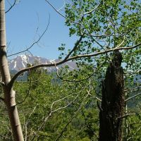 4 The Woods at Monument Lake images 2