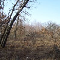 Beautiful Central Wisconsin Home Site Packwaukee  WI images 3