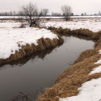 Acreage with Tillable  Trout Stream and Hunting Juneau County WI images 3
