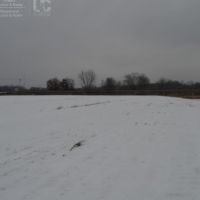 Acreage with Tillable  Trout Stream and Hunting Juneau County WI images 5