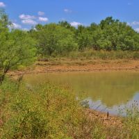 Trophy Hunting &nbsp; Recreational Ranch For Sale in Dimmit County  TX images 2
