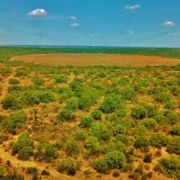 Trophy Hunting &nbsp; Recreational Ranch For Sale in Dimmit County  TX images 6