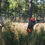 Prime Habitat for Alabama Deer, Turkey, Quail and Hog Hunting With Lodging