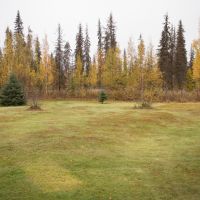 Remote Alaska Lodge w  Airstrip  Lake Frontage and Near the Yentna River  Skwentna  Alaska images 4
