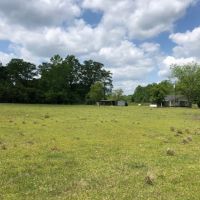 56 Acres of Pearl River Waterfront &nbsp; Simpson County images 2