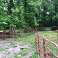 56 Acres of Pearl River Waterfront &nbsp; Simpson County images 3