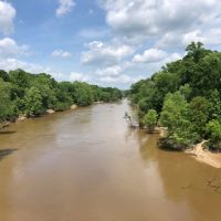 56 Acres of Pearl River Waterfront &nbsp; Simpson County images 6