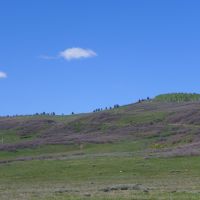 Hastings Mesa images 4