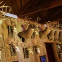 Equity Share in Holmes and Carroll County at Wilderness West  Inc. images 3