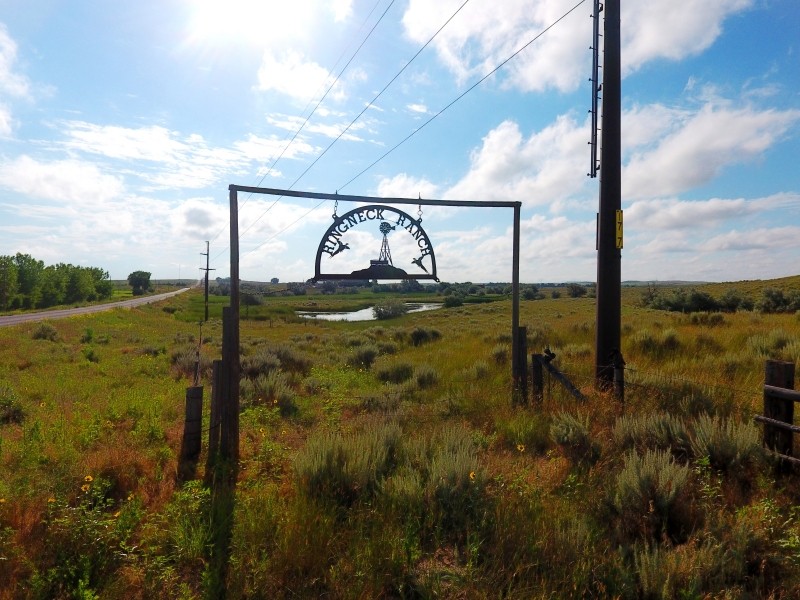 Ringneck Ranch Acreage featured image