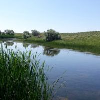 Ringneck Ranch Acreage images 3