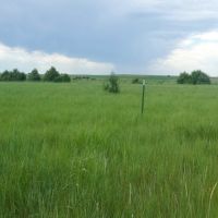 Ringneck Ranch Acreage images 5