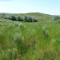 Ringneck Ranch Acreage images 6