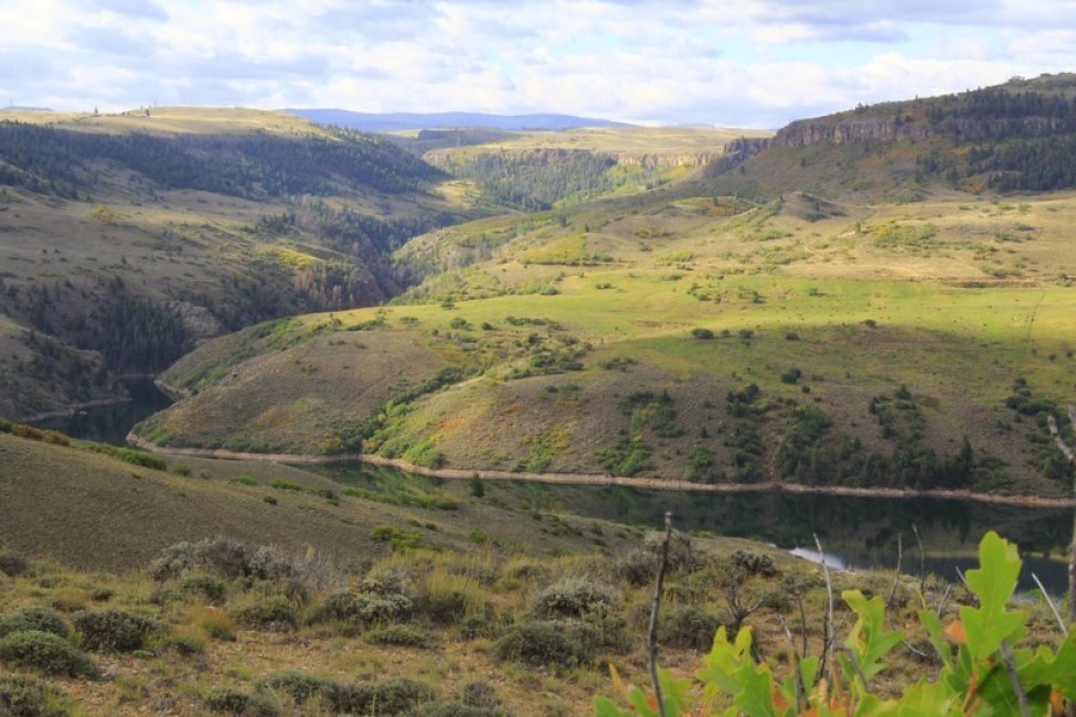Sapinero Ranch featured image