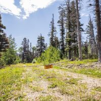 22525 Glaves Lane images 6