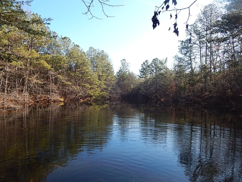 Recreational Retreat Close to Town featured image