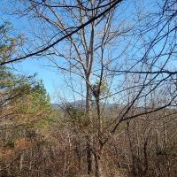 Recreational Retreat Close to Town images 2