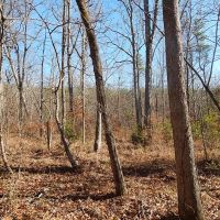 Recreational Retreat Close to Town images 3