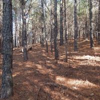 Recreational Retreat Close to Town images 6