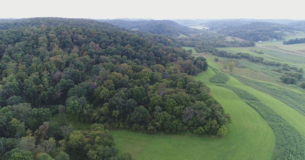Wisconsin-Hunting and Recreational Land For Sale in Richland County featured image