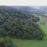 Wisconsin-Hunting and Recreational Land For Sale in Richland County
